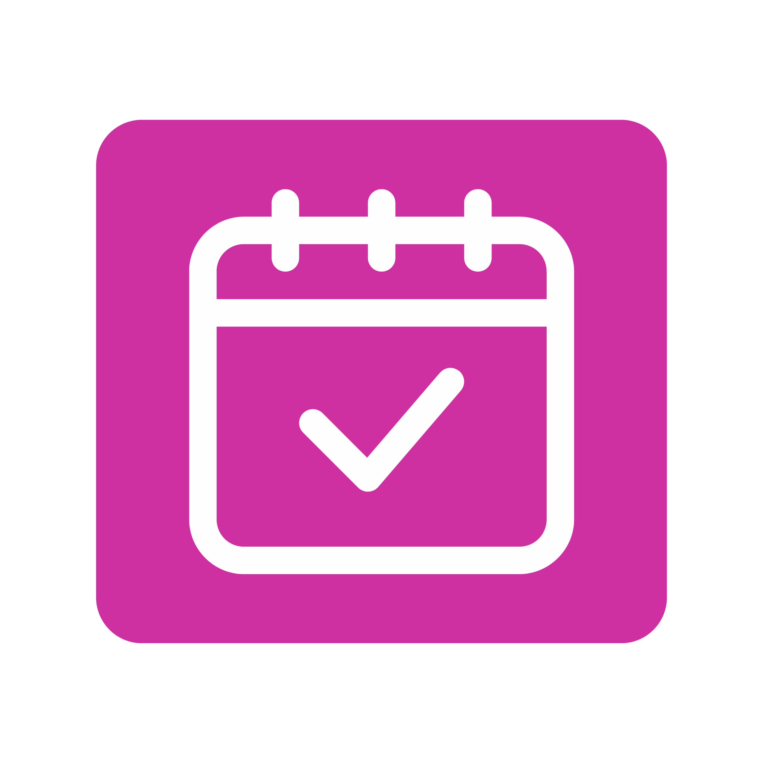 Pagina 2 - Detalii Program - Data